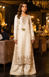 Party wear dress