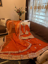 Party wear dress